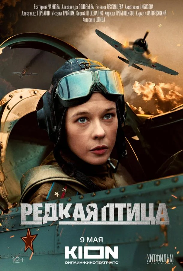  Редкая птица 